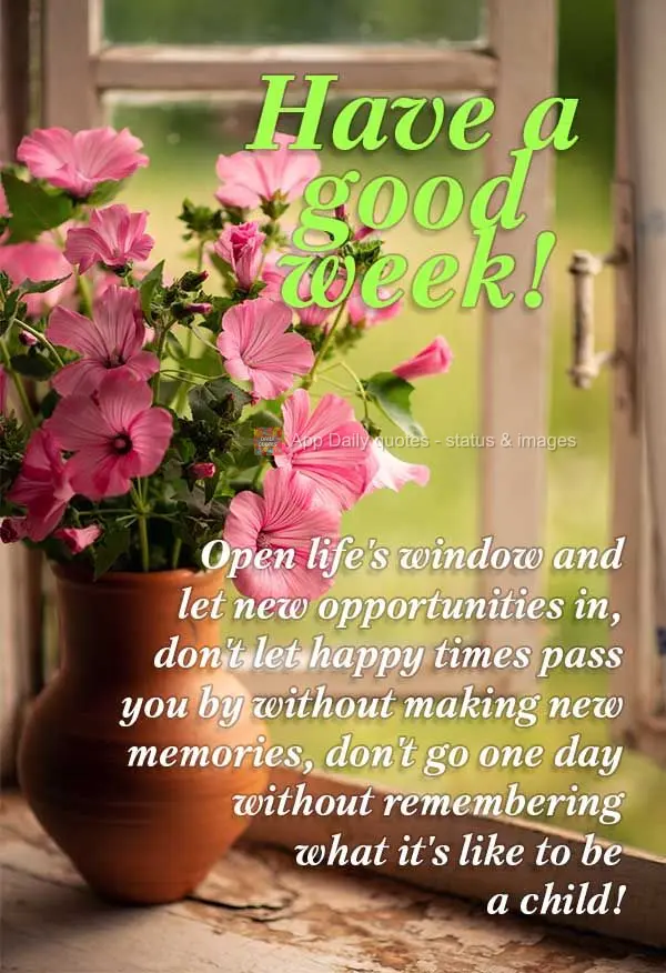 Open life's window and let new opportunities in. Don't let happy times pass you by without making new memories. Don't go one day without remembering what...