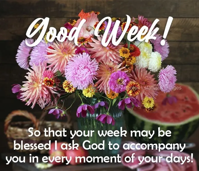 So that your week may be blessed, I ask God to accompany you in every moment of your days! Have a Good Week!