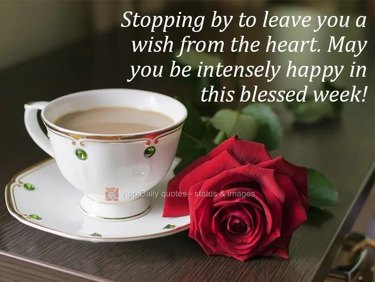 Stopping by to leave you a wish from the heart. May you be intensely happy during this blessed week!