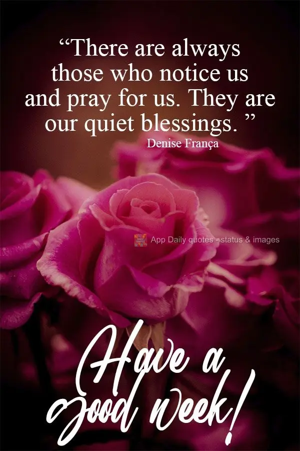 There are always those who notice us and pray for us. They are our quiet blessings.  Have a good week!  Denise França