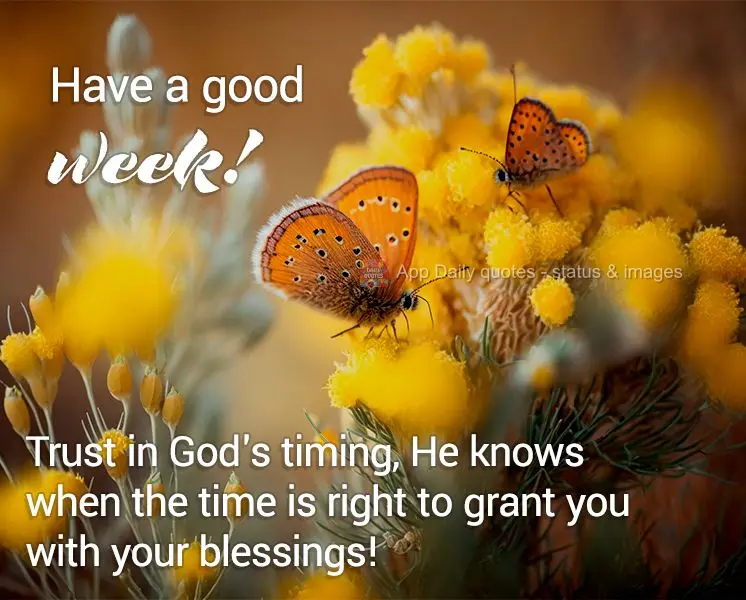 Trust in God's timing, He knows when the time is right to grant you your blessings! Have a good week!