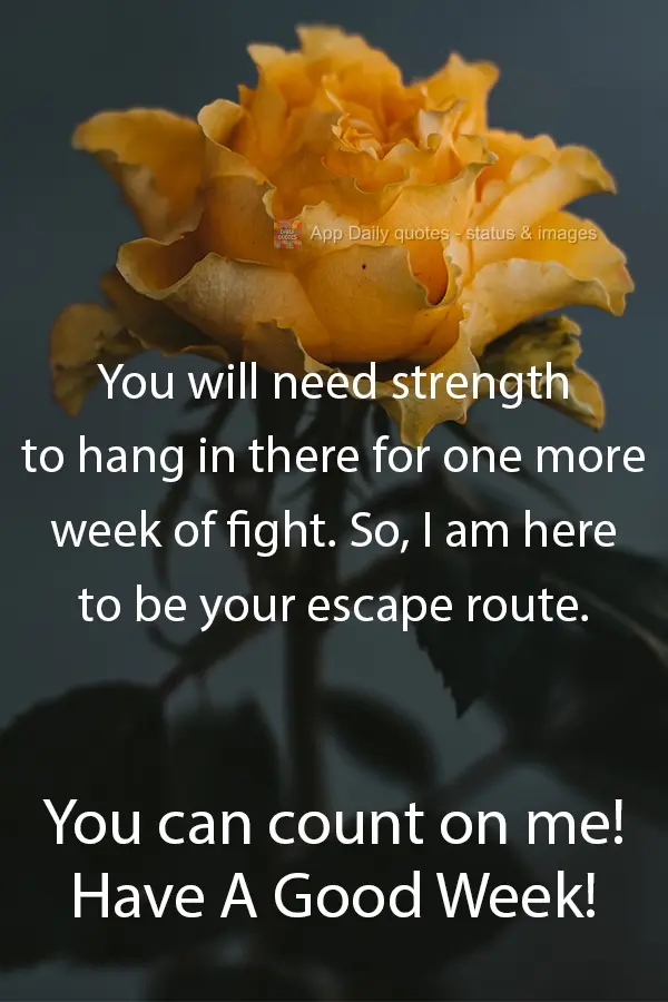 You will need strength to hang in there for one more week of struggle. So, I am here to be your escape route. You can count on me! Have A Good Week!