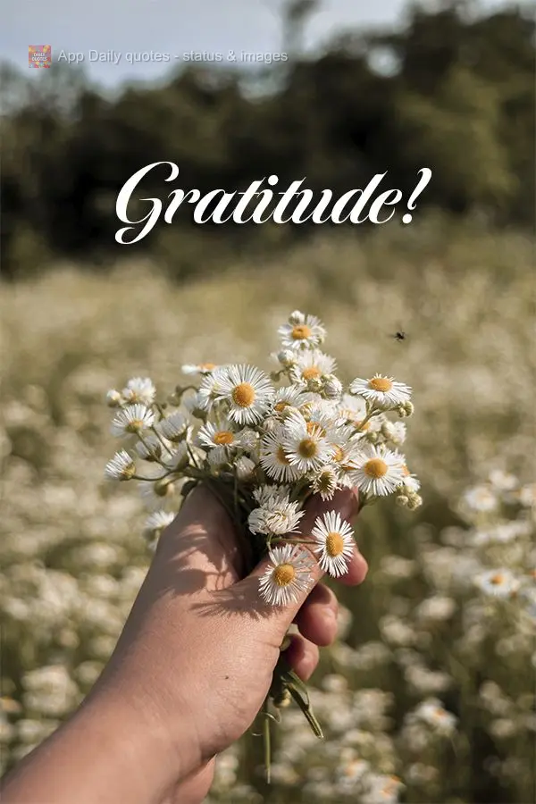 Gratitude!