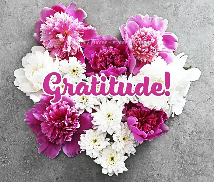 Gratitude!