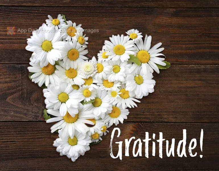 Gratitude!