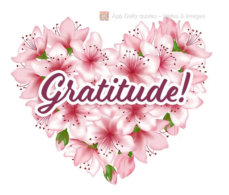 Gratitude!