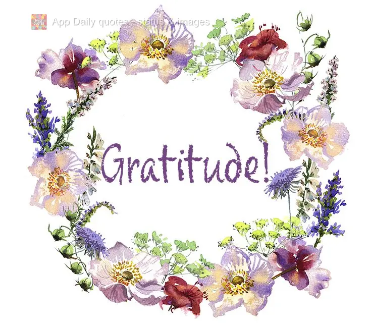 Gratitude!