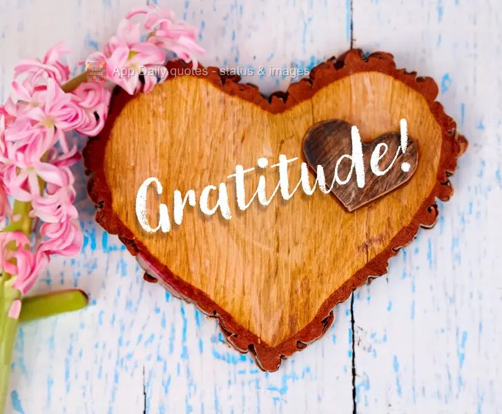 Gratitude!