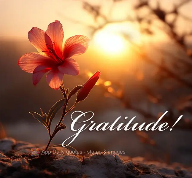 Gratitude!