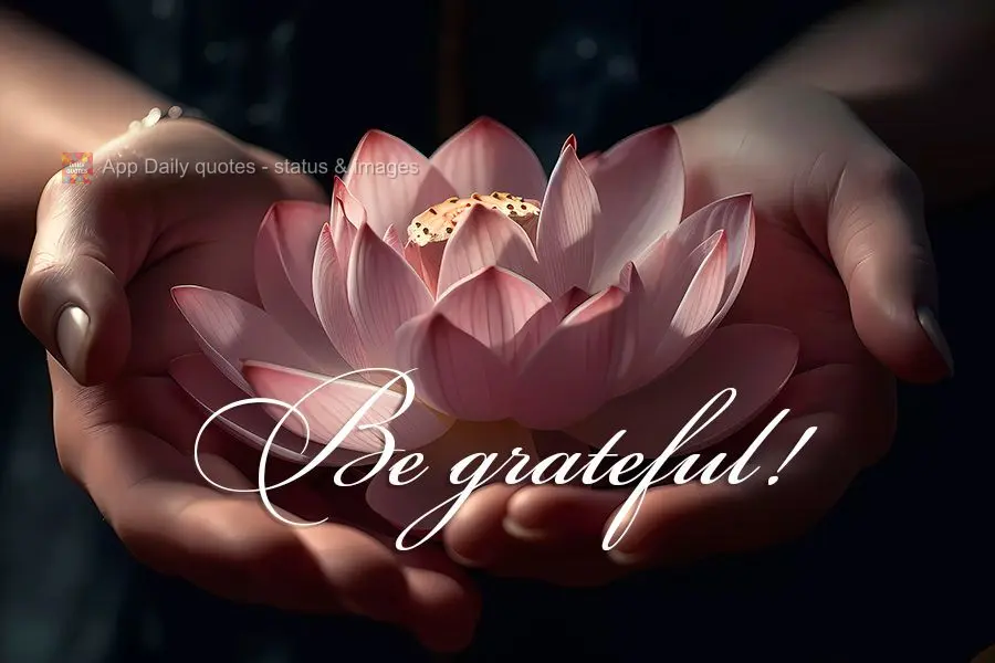 Be grateful!