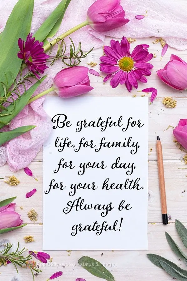 Be grateful for life, for family, for your day, for your health. Always be grateful!