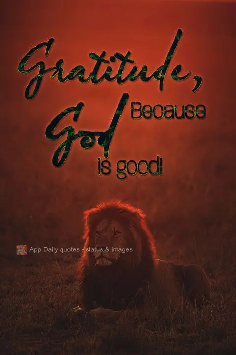 Gratitude, because God is good!
