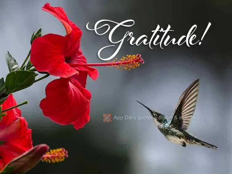 Give thanks!