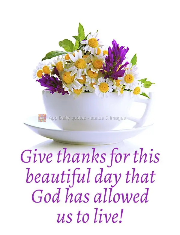 Give thanks for this beautiful day that God has allowed us to live!