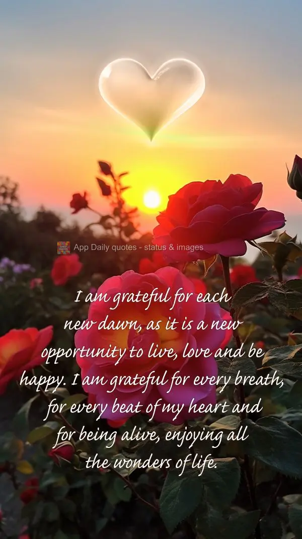 I am grateful for each new dawn, as it is a new opportunity to live, love and be happy. I am grateful for every breath, for every beat of my heart and fo...