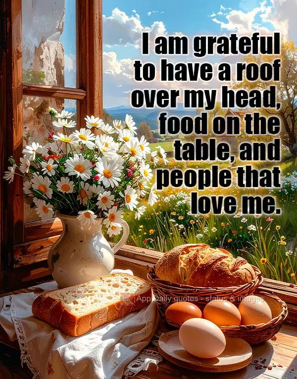 I am grateful to have a roof over my head, food on the table, and people that love me.