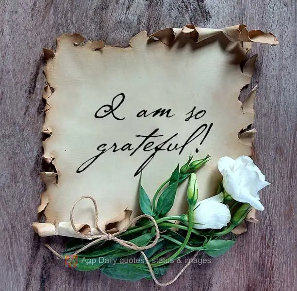 I am so grateful!