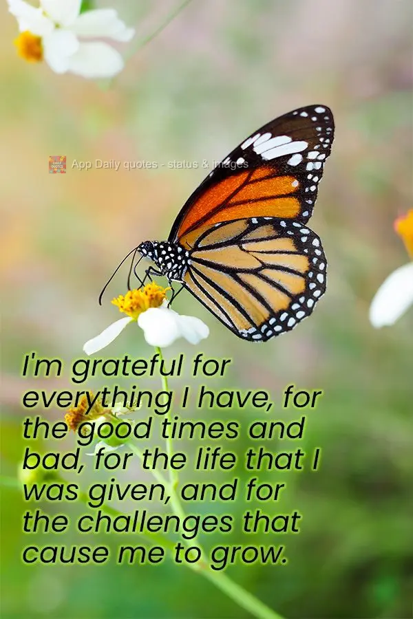 I'm grateful for everything I have, for the good times and bad, for the life that I was given, and for the challenges that cause me to grow.