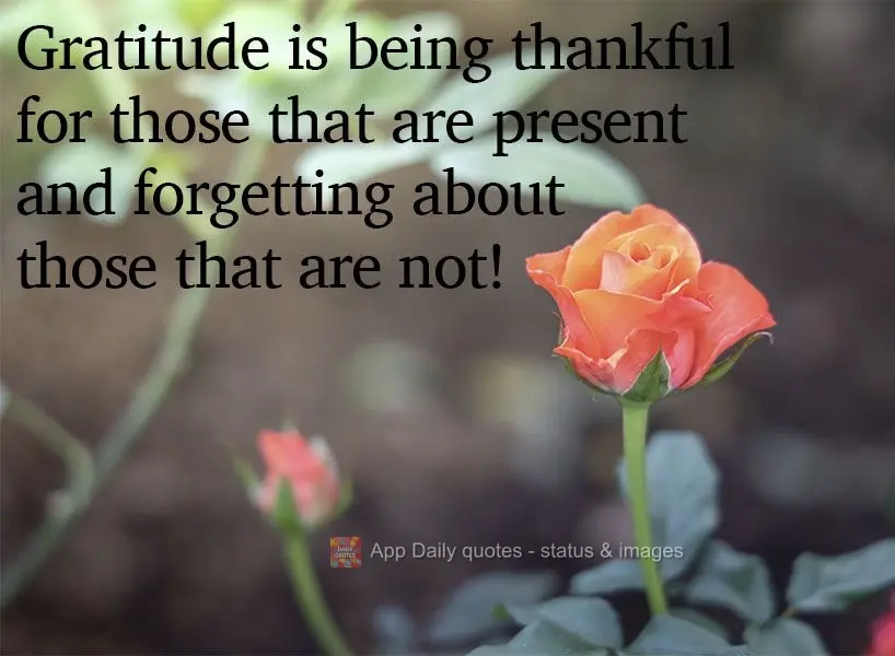 Gratitude is being thankful for those who are present and forgetting about those who are not! 