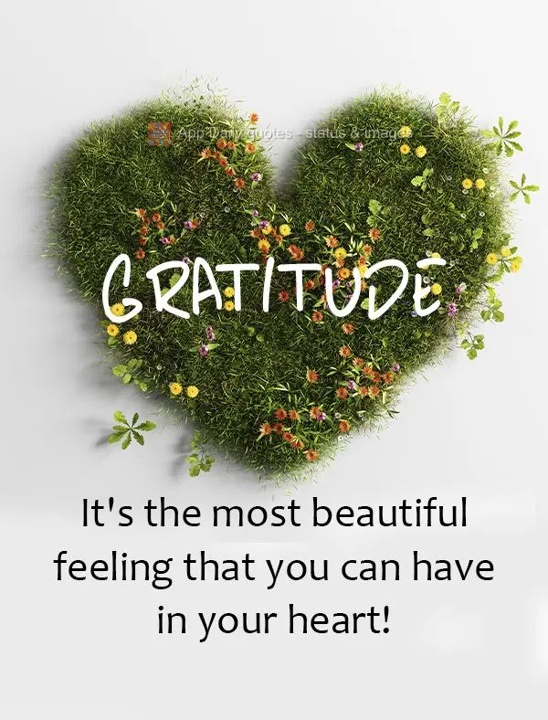 Gratitude. It's the most beautiful feeling that you can have in your heart!