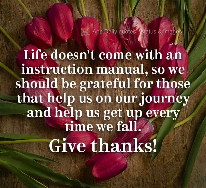 Life doesn't come with an instruction manual, so we should be grateful for those that aid us on our journey and help us get up every time we fall. Give t...