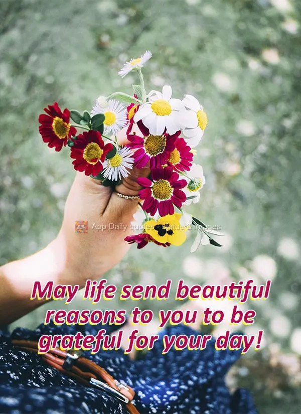 May life send beautiful reasons to you to be grateful for your day!