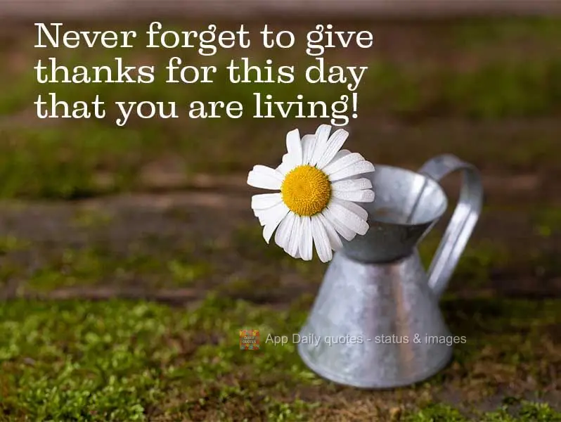 Never forget to give thanks for this day that you are living!