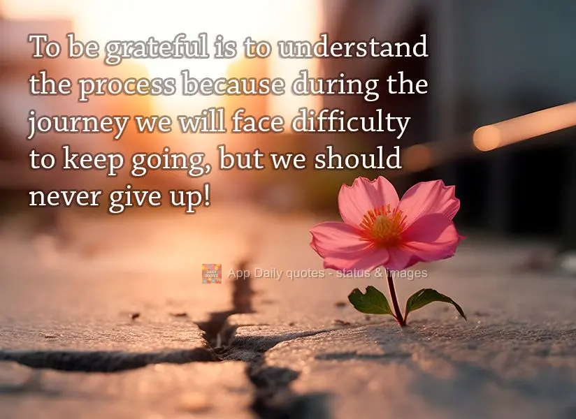 To be grateful is to understand the process because during the journey we will face difficulty to keep going, but we should never give up!