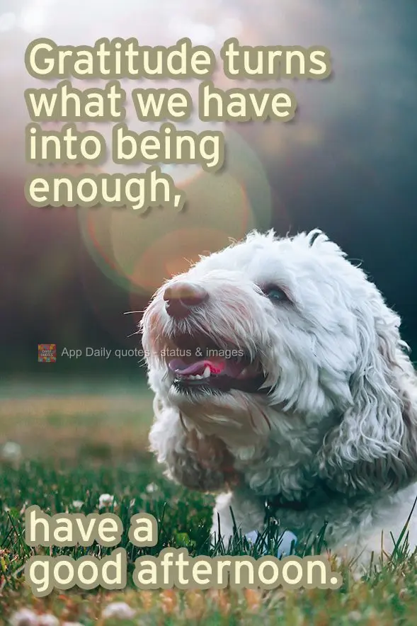 Gratitude turns what we have into enough. Have a good afternoon. 