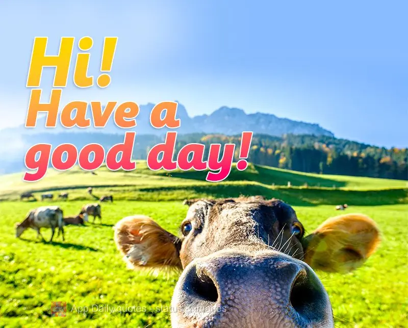 Hi! Have a good day!