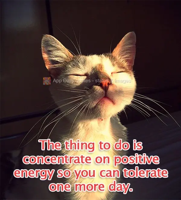The thing to do is concentrate on positive energy so you can tolerate one more day.