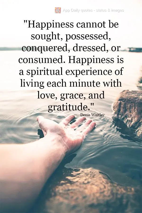 "Happiness cannot be sought, possessed, conquered, dressed, or consumed. Happiness is a spiritual experience of living each minute with love, grace, and ...