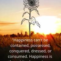"Happiness can't be contained, possessed, conquered, worn, or consumed. Happiness is the spiritual experience of living each moment with love, grace, and...