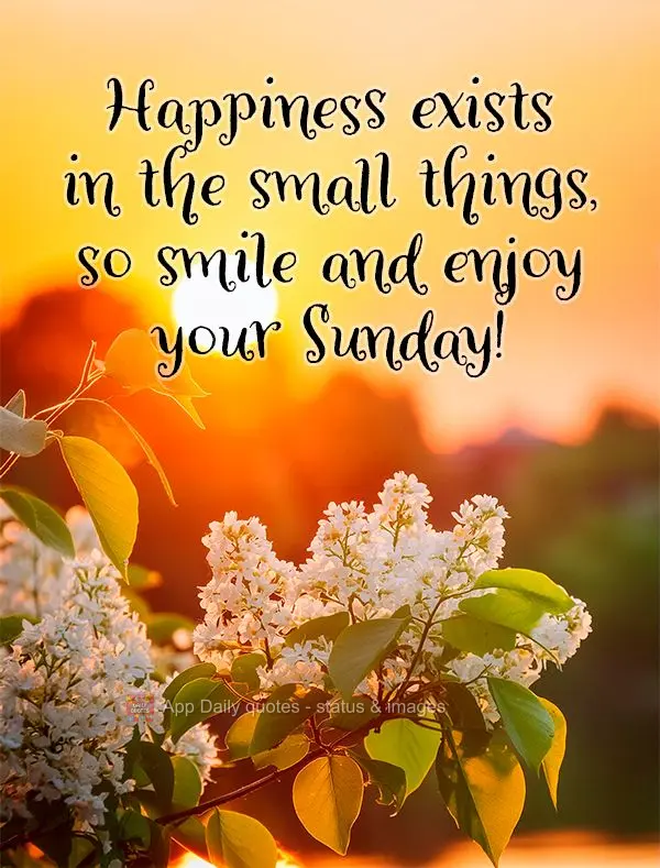Happiness exists in the small things, so smile and enjoy your Sunday!