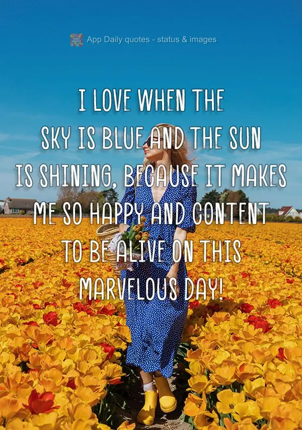 I love when the sky is blue and the sun is shining, because it makes me so happy and content to be alive on this marvelous day!