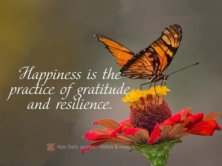 Happiness is the practice of gratitude and resilience.