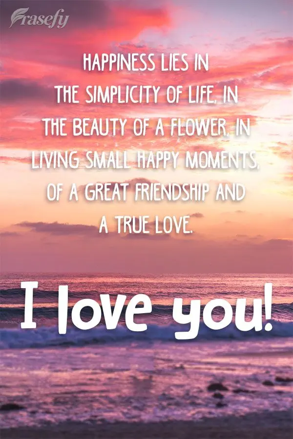 Happiness lies in the simplicity of life, in the beauty of a flower, in living small happy moments, in a great friendship, and a true love. I love you!...