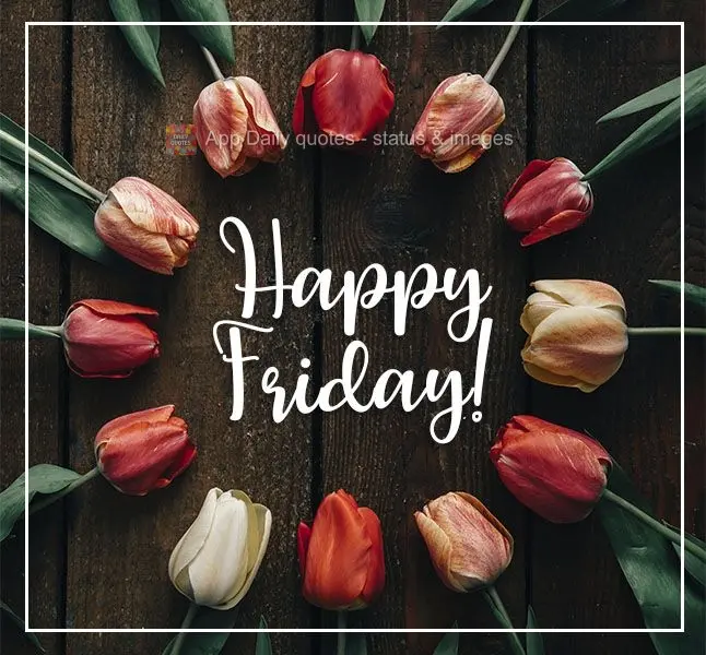 Happy Friday! 