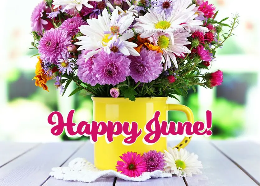 Happy June!