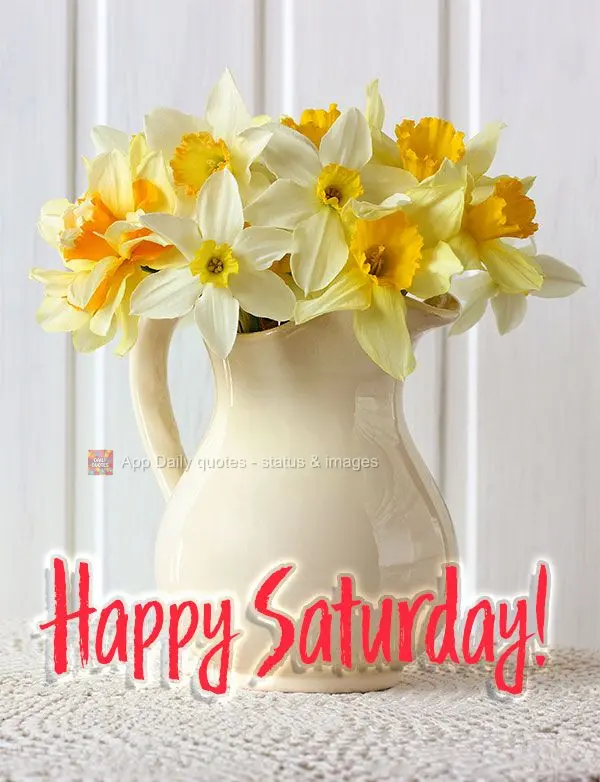 Happy Saturday!