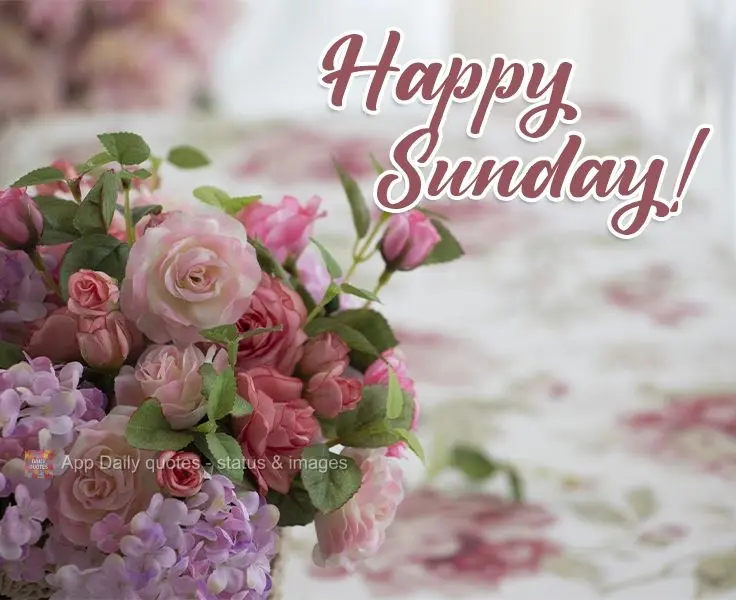 Happy Sunday! 