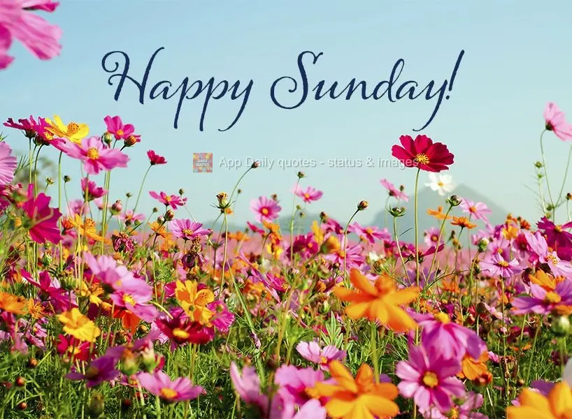 Happy Sunday!