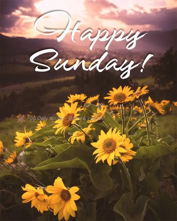 Happy Sunday!