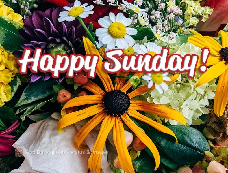Happy Sunday!