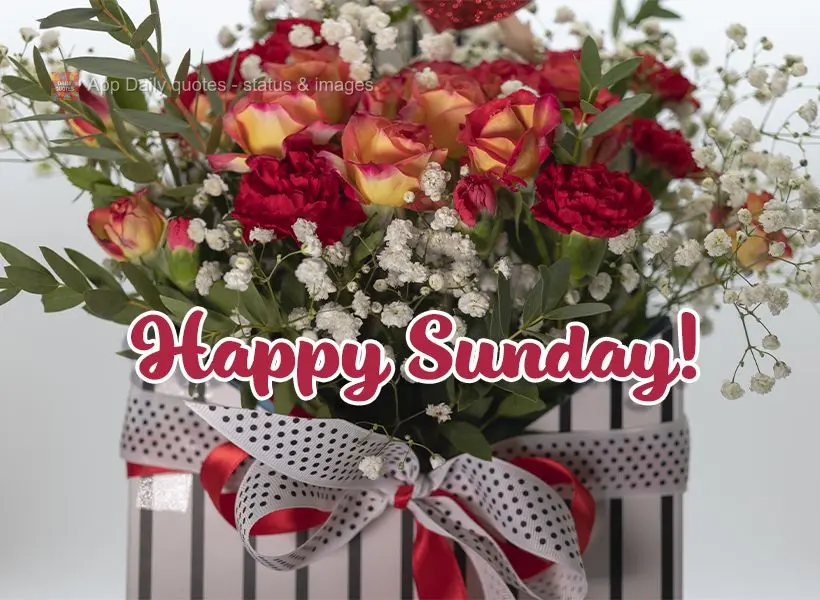 Happy Sunday!