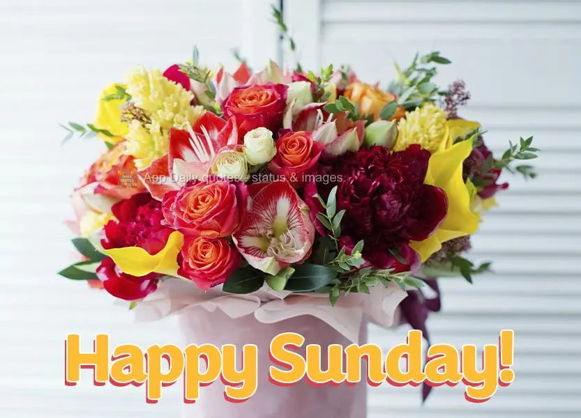 Happy Sunday!