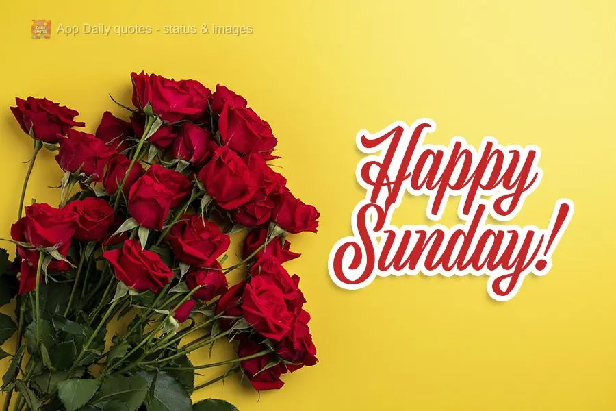 Happy Sunday!
