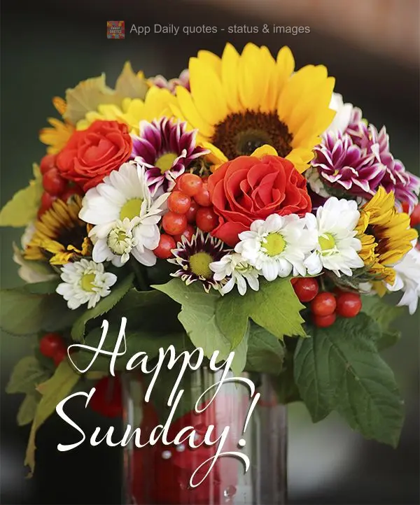 Happy Sunday!