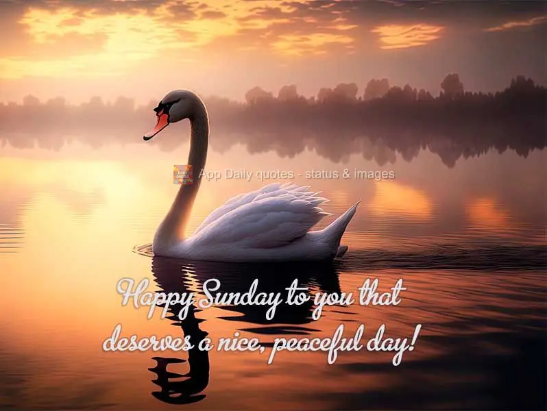 Happy Sunday to you who deserves a nice, peaceful day!