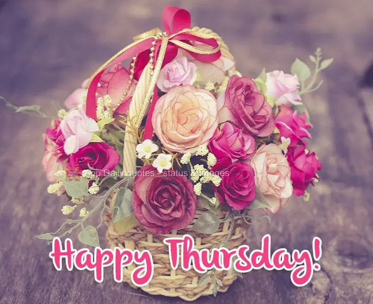 Happy Thursday! 